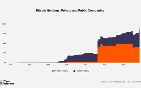 大公司买比特币成风，但亚洲企业持币占比不足1%